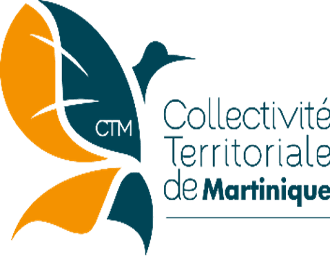 CTM
