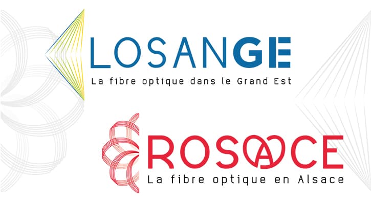 LOSANGE ROSACE